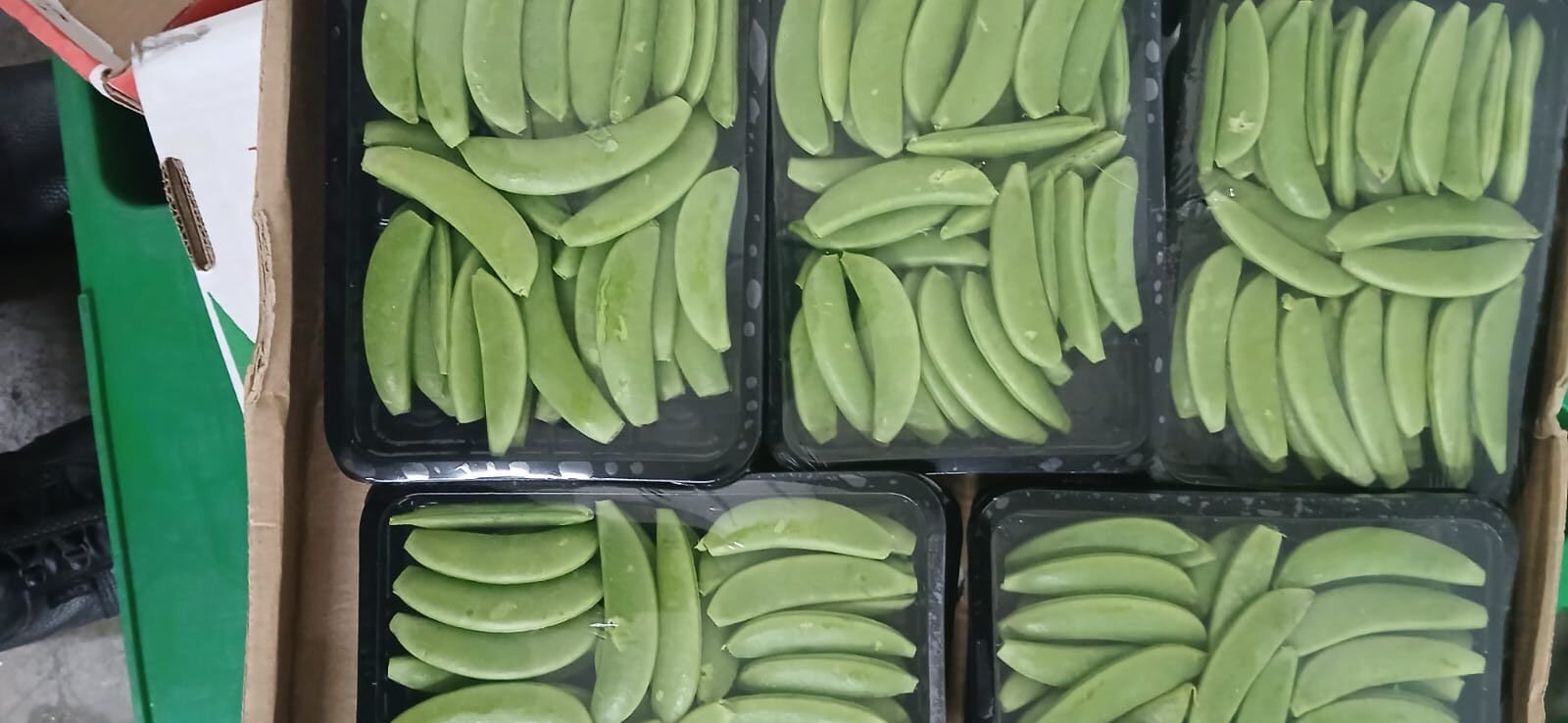 π± SUGAR SNAPS - Image 2