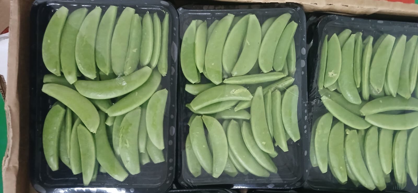 π± SUGAR SNAPS - Image 9