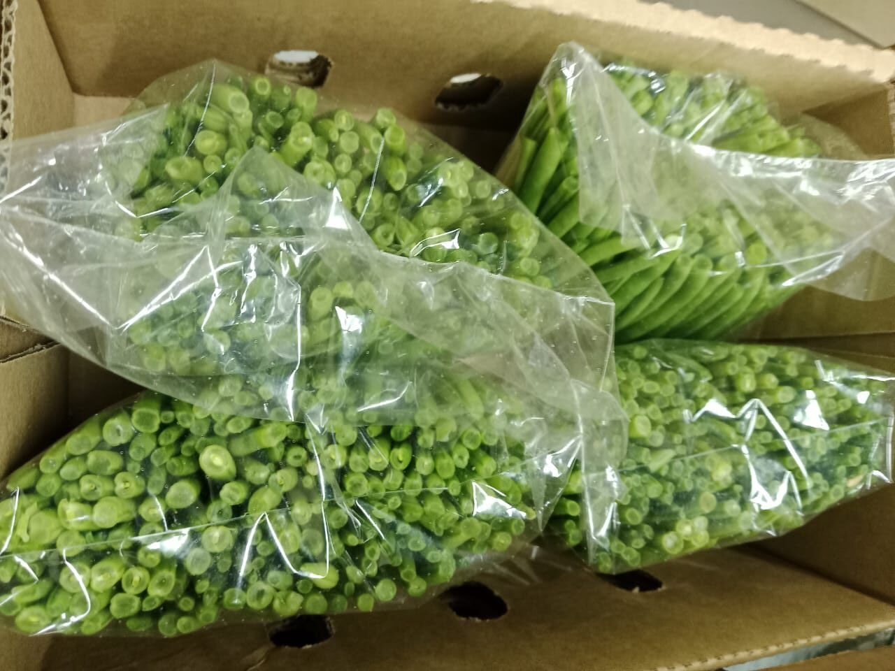 πΏ FINE BEANS - Image 2