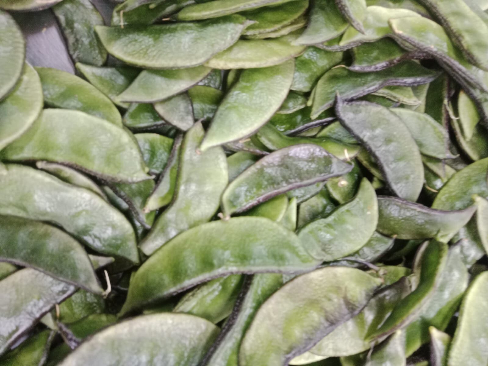 WhatsApp Image 2025-11-26 at 10.26.22 PM