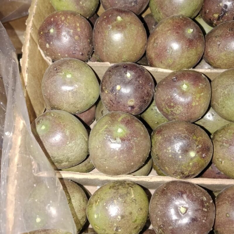 🥭 PASSION FRUITS (PURPLE & YELLOW VARIETIES)
