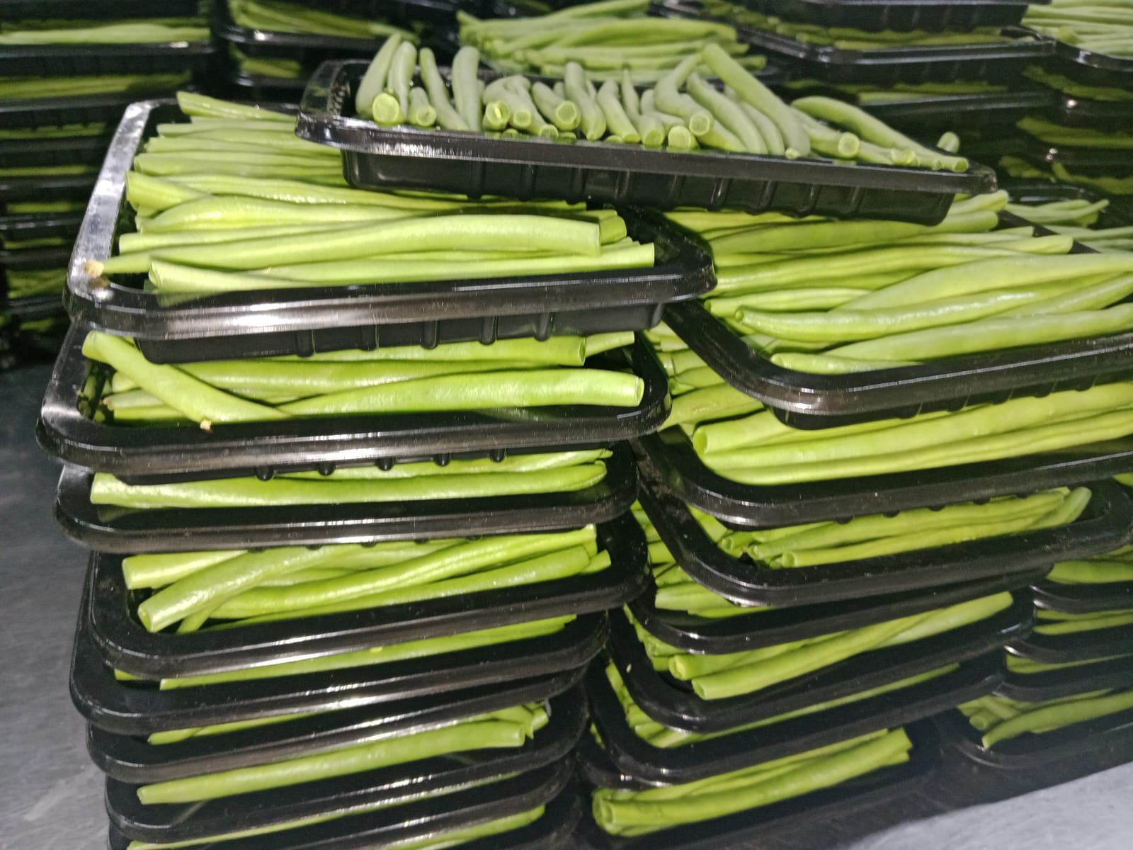 πΏ FINE BEANS - Image 5