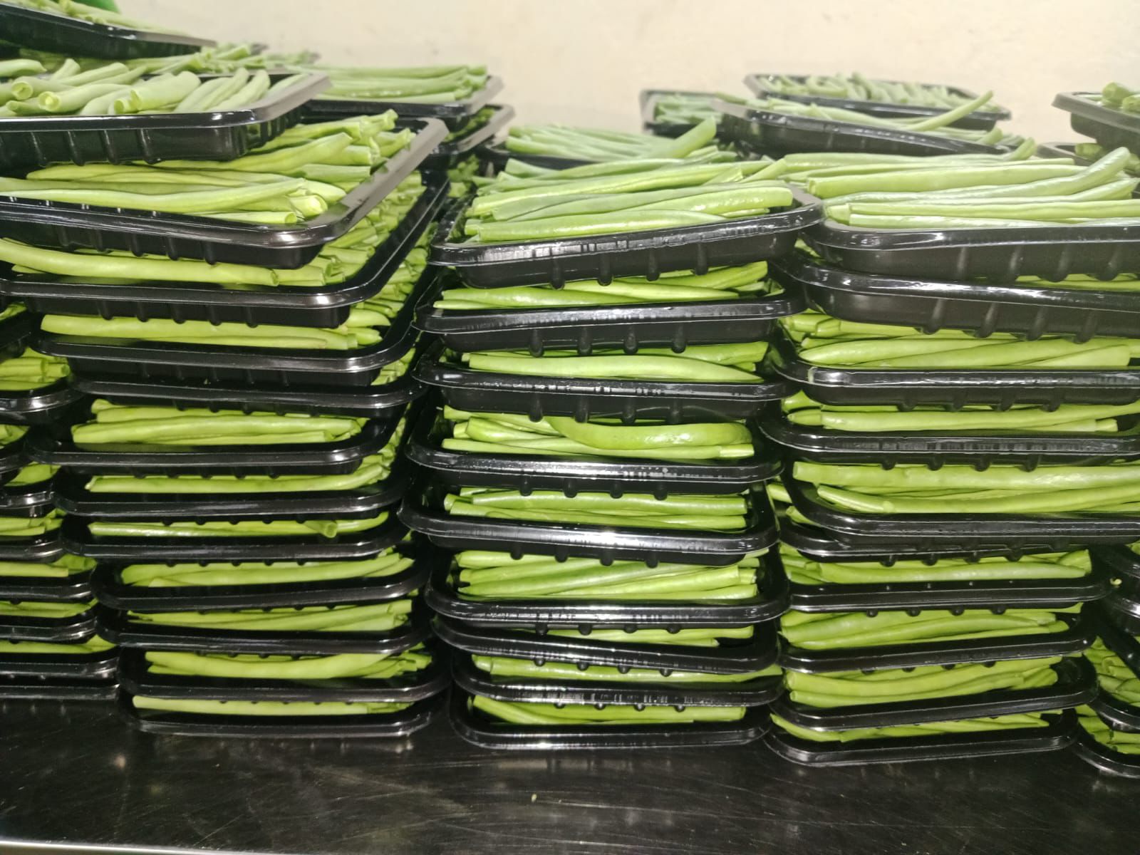 πΏ FINE BEANS - Image 6