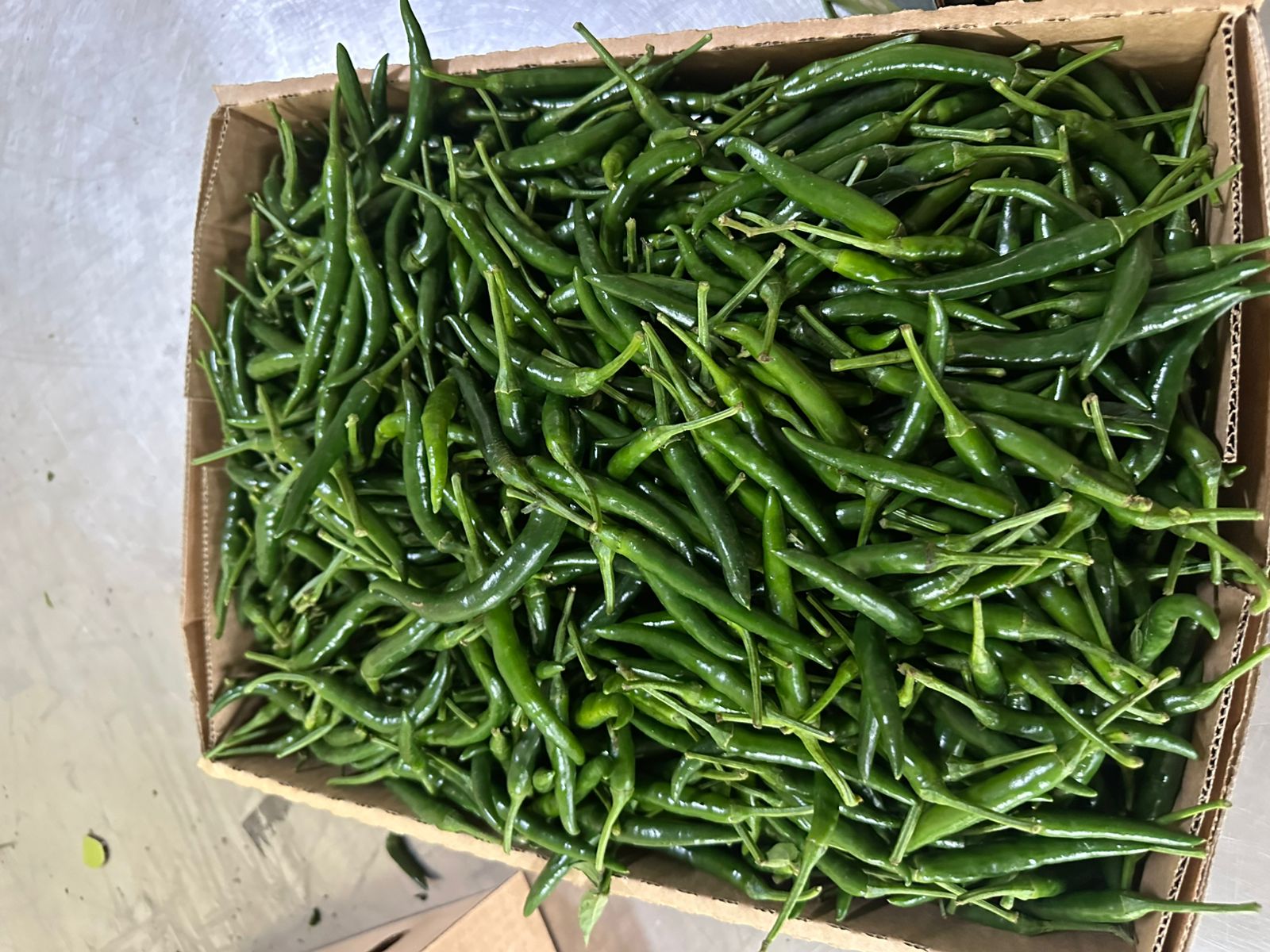 GREEN BIRD’S EYE CHILI - Image 7