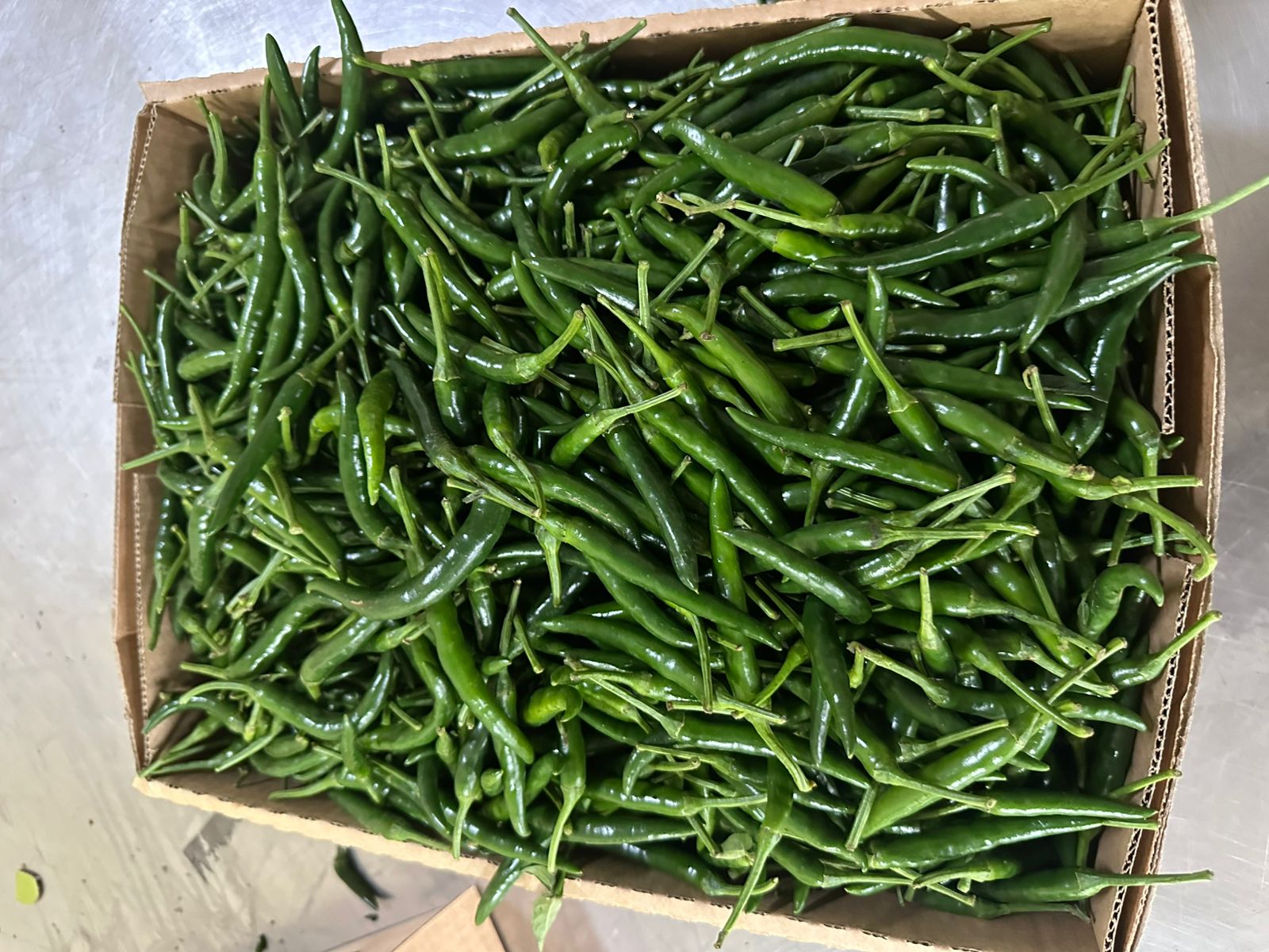 GREEN BIRD’S EYE CHILI - Image 5