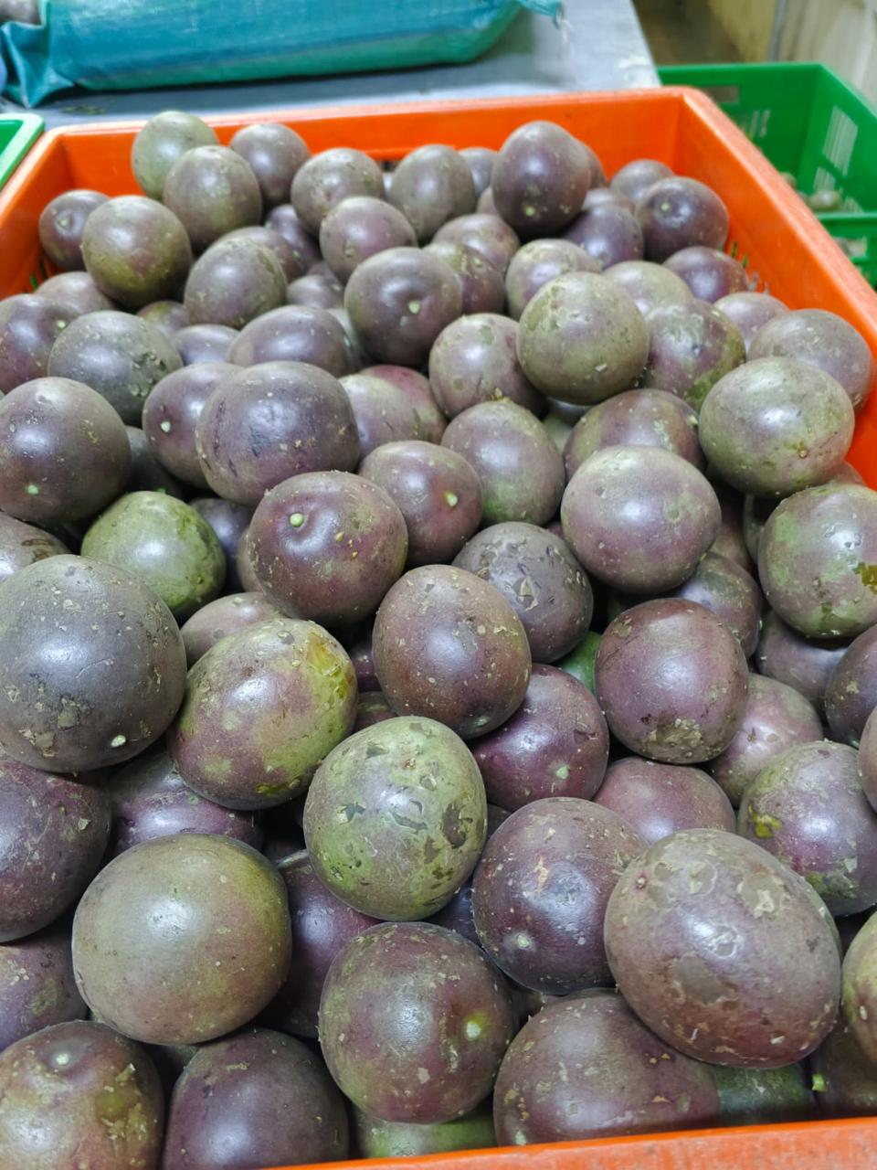 WhatsApp Image 2025-11-28 at 5.08.26 PM