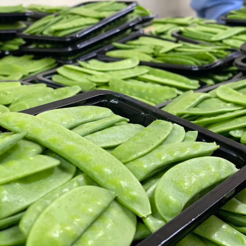 🌱 MANGETOUT (SNOW PEAS)