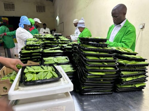 WhatsApp Image 2025-11-26 at 10.18.14 PM (1)