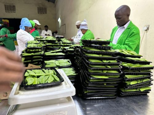 WhatsApp Image 2025-11-26 at 10.18.14 PM