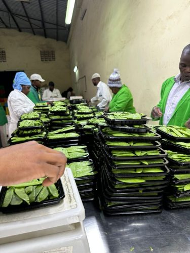 WhatsApp Image 2025-11-26 at 10.18.15 PM