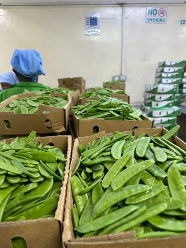 WhatsApp Image 2025-11-26 at 10.18.16 PM (1)