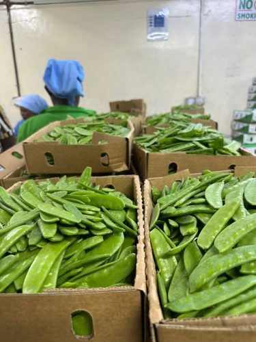 WhatsApp Image 2025-11-26 at 10.18.16 PM (2)