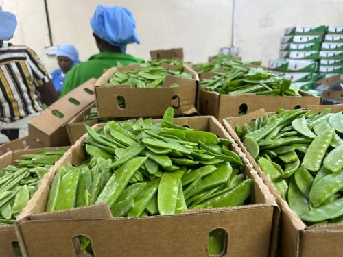 WhatsApp Image 2025-11-26 at 10.18.17 PM (1)