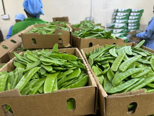 WhatsApp Image 2025-11-26 at 10.18.17 PM (2)