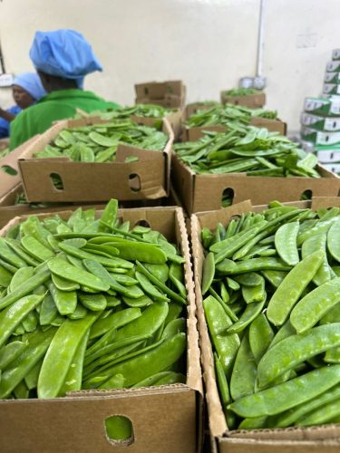 WhatsApp Image 2025-11-26 at 10.18.17 PM