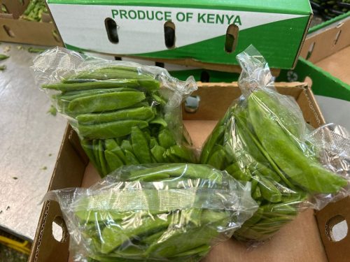 WhatsApp Image 2025-11-26 at 10.18.18 PM (1)