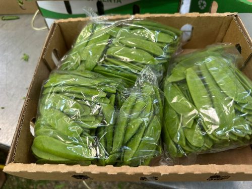 WhatsApp Image 2025-11-26 at 10.18.18 PM (2)