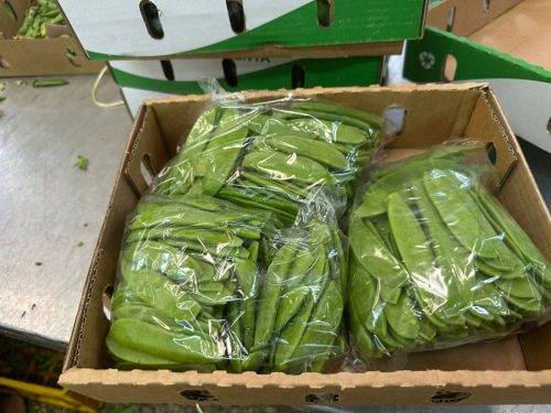 WhatsApp Image 2025-11-26 at 10.18.18 PM