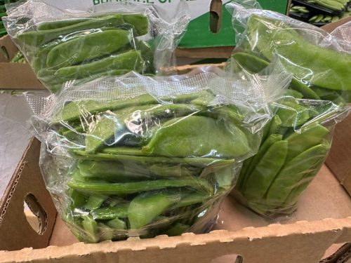 WhatsApp Image 2025-11-26 at 10.18.19 PM