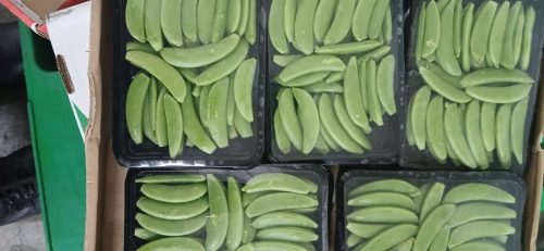 WhatsApp Image 2025-11-26 at 10.22.21 PM (2)