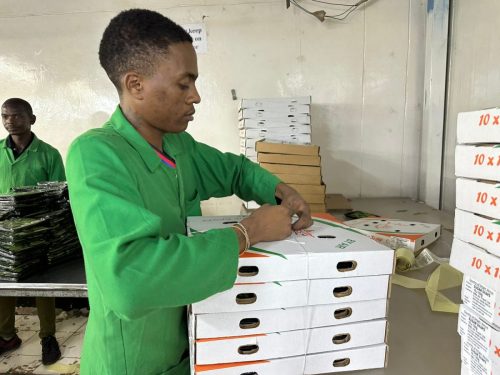 WhatsApp Image 2025-11-26 at 10.22.24 PM (2)