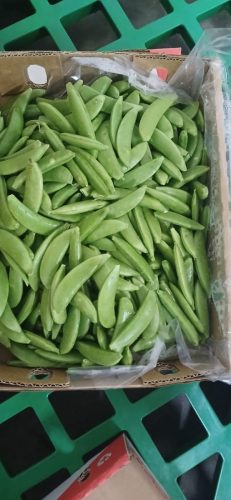 WhatsApp Image 2025-11-26 at 10.22.24 PM