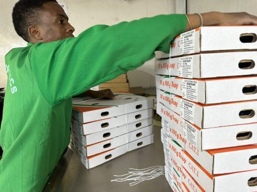 WhatsApp Image 2025-11-26 at 10.22.25 PM