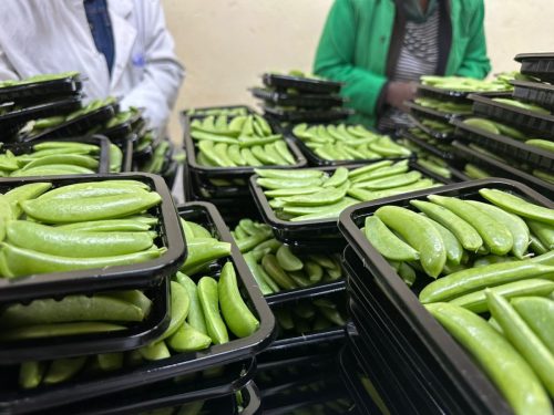 WhatsApp Image 2025-11-26 at 10.22.29 PM (1)