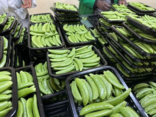 WhatsApp Image 2025-11-26 at 10.22.29 PM (2)