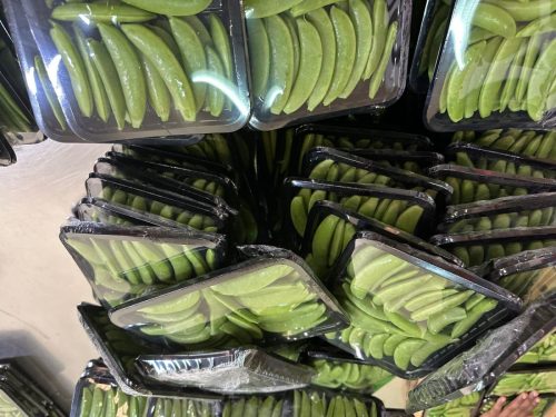 WhatsApp Image 2025-11-26 at 10.22.30 PM (1)