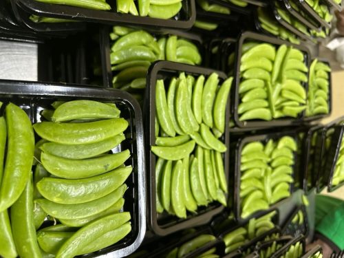 WhatsApp Image 2025-11-26 at 10.22.30 PM (2)