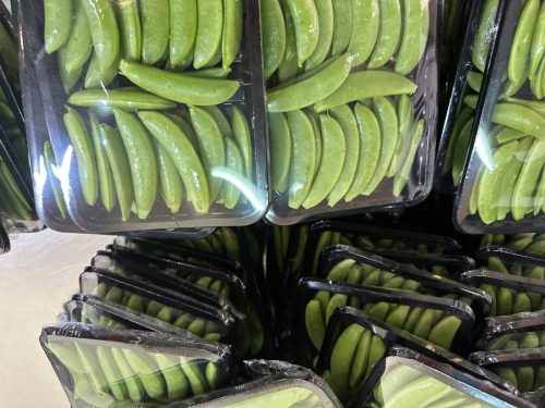 WhatsApp Image 2025-11-26 at 10.22.30 PM