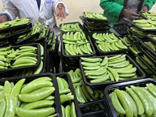 WhatsApp Image 2025-11-26 at 10.22.31 PM