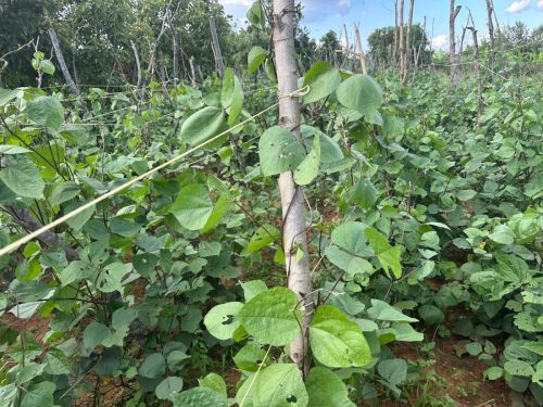 WhatsApp Image 2025-11-26 at 10.26.20 PM (1)