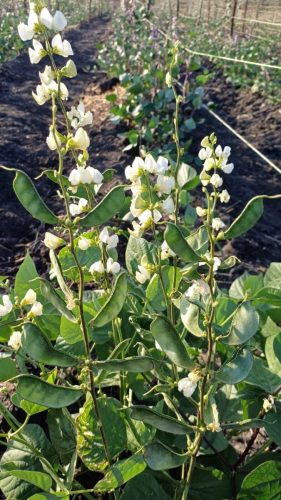 WhatsApp Image 2025-11-26 at 10.26.21 PM (1)