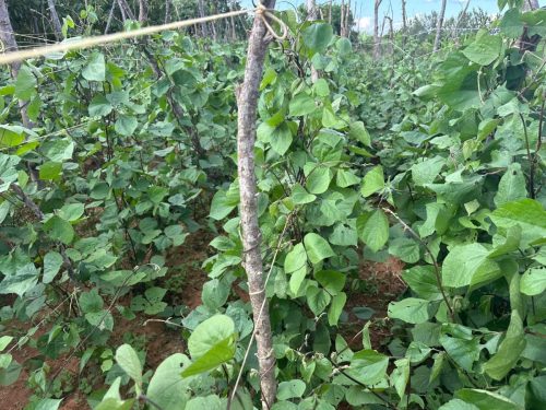 WhatsApp Image 2025-11-26 at 10.26.21 PM