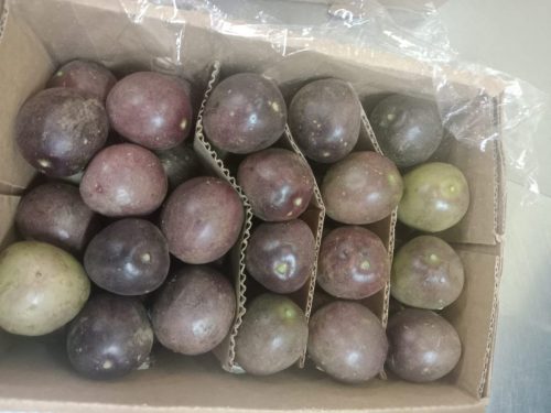 WhatsApp Image 2025-11-26 at 10.26.22 PM (1)