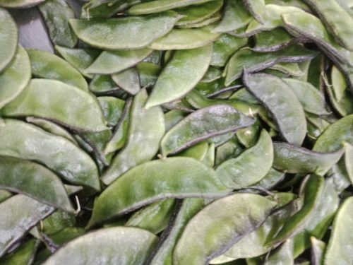 WhatsApp Image 2025-11-26 at 10.26.22 PM