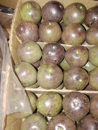 WhatsApp Image 2025-11-26 at 10.26.24 PM (1)