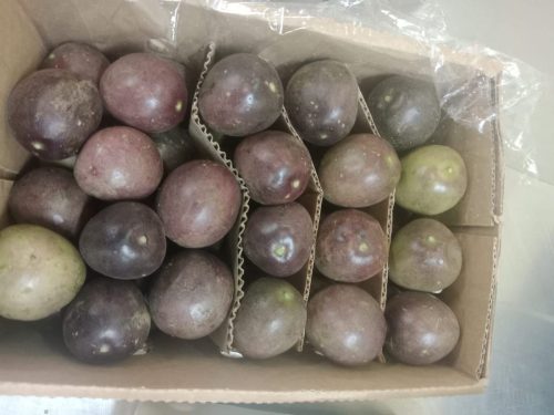 WhatsApp Image 2025-11-26 at 10.26.24 PM