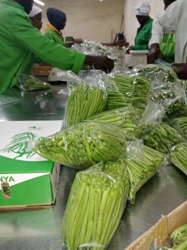 WhatsApp Image 2025-11-26 at 10.26.25 PM (1)