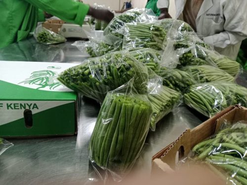 WhatsApp Image 2025-11-26 at 10.26.26 PM (2)