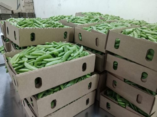 WhatsApp Image 2025-11-26 at 10.26.31 PM (1)