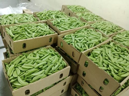 WhatsApp Image 2025-11-26 at 10.26.31 PM (2)