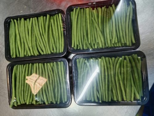 WhatsApp Image 2025-11-26 at 10.26.31 PM (3)