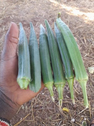 WhatsApp Image 2025-11-26 at 10.26.32 PM (1)