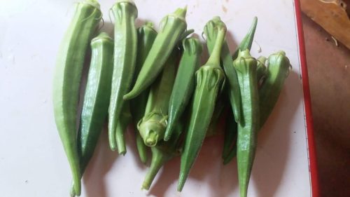 WhatsApp Image 2025-11-26 at 10.26.32 PM (2)