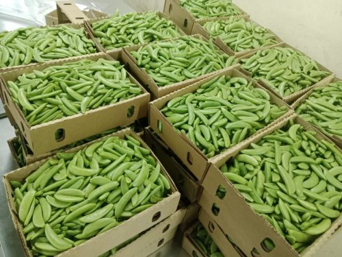 WhatsApp Image 2025-11-26 at 10.26.32 PM