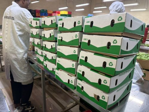 WhatsApp Image 2025-11-26 at 10.26.33 PM (1)