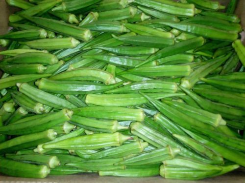 WhatsApp Image 2025-11-26 at 10.26.33 PM